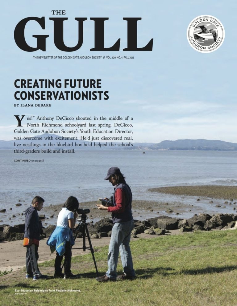 Fall 2015 Gull is available