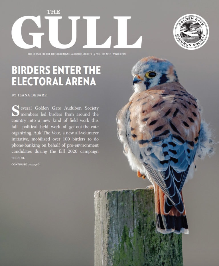 The Winter 2021 Gull is now available