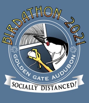 Birdathon 2021 logo