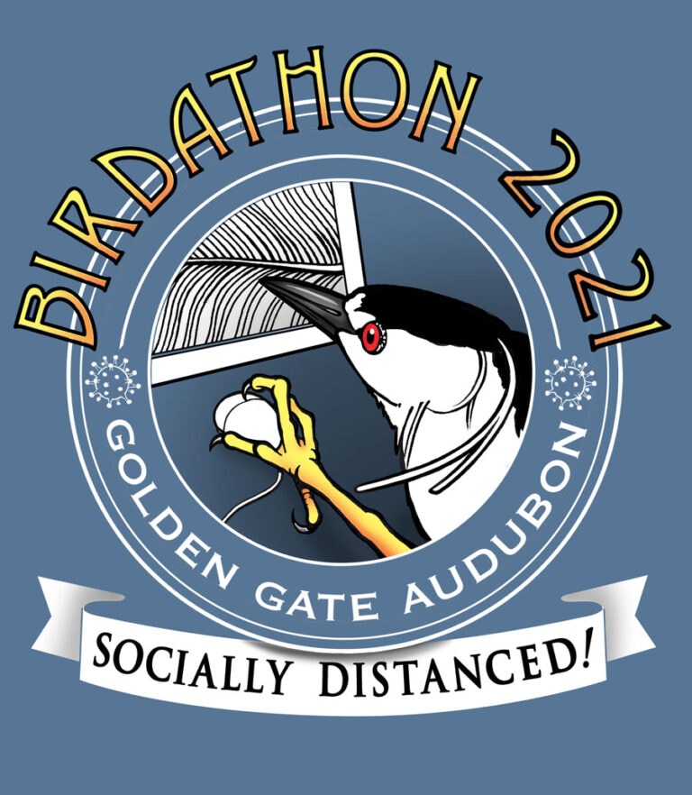 Birdathon 2021: A Soaring Success