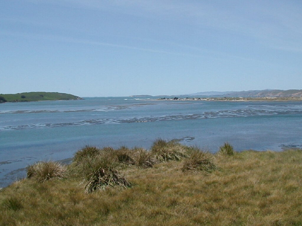 Mouth of Tomales Bay, seen from Toms Point