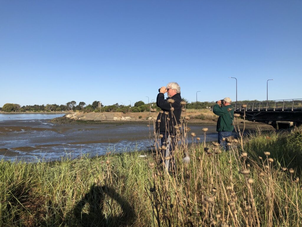 Berkeley Waterfront during the Christmas-in-May Bird Count, by Steve Wiel