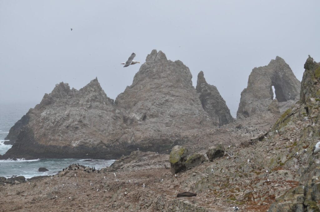 View from the Farallon Islands 