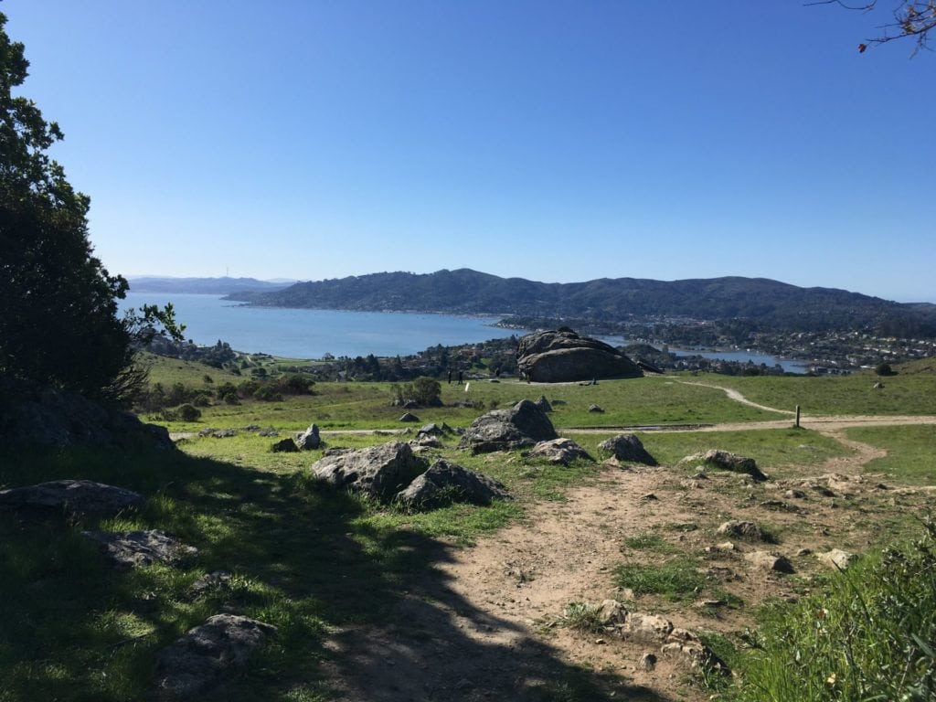 Landscape with trail