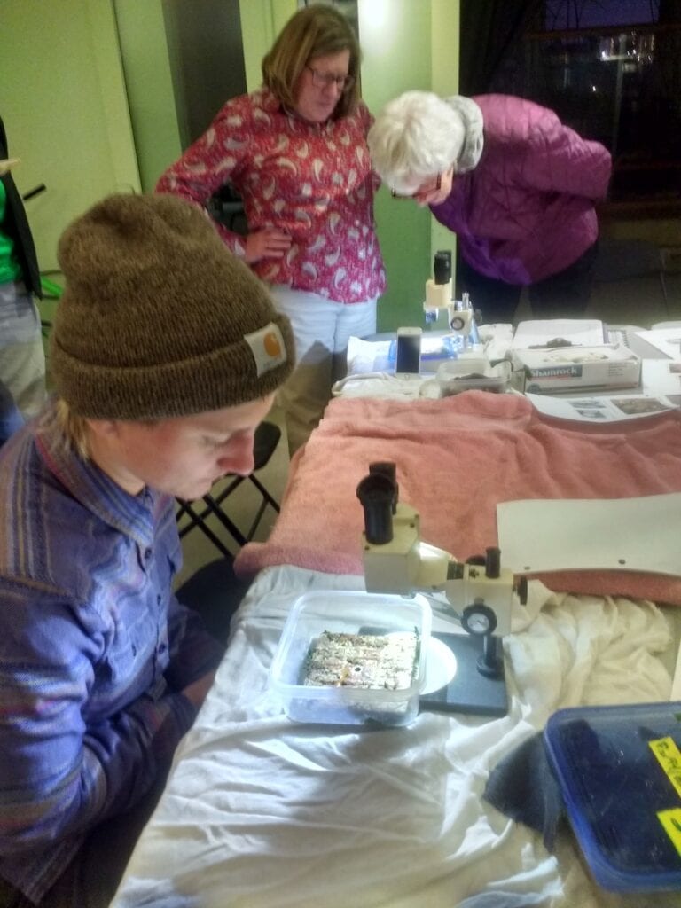 Audubon volunteers use field microscopes to count native oysters