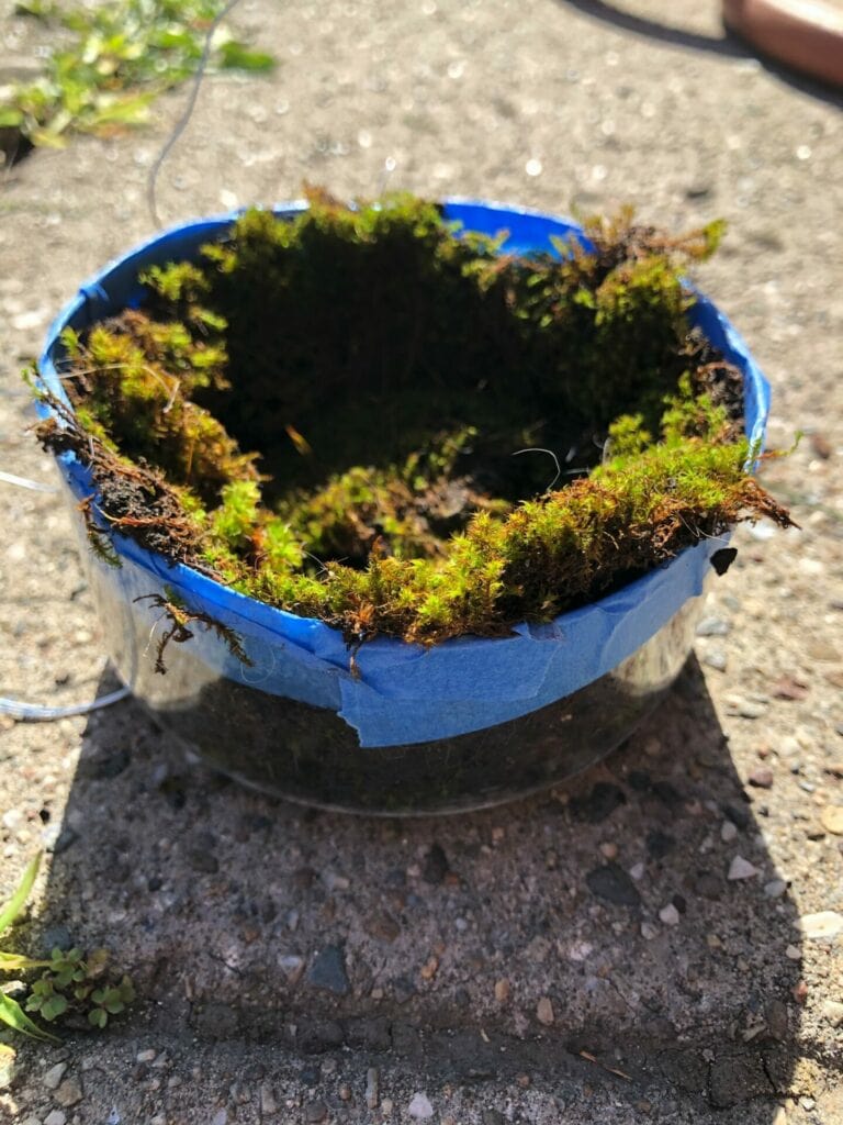 Homemade hummingbird nest