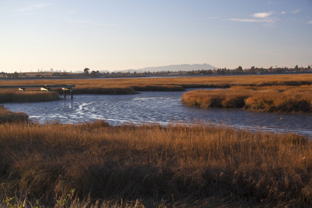 Sunset and low tide at Arrowhead Marsh