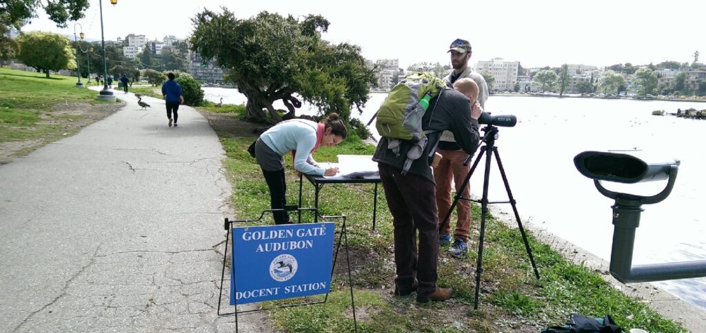 Golden Gate Bird Alliance Docents at Lake Merritt