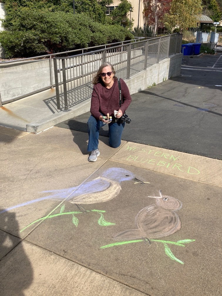 Chalk art bluebirds