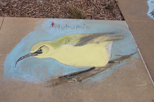 Nukupuu chalk art