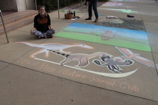 Evolution chalk art