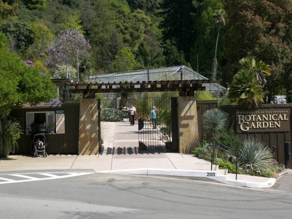 Outside the UC Berkeley Botanical Garden 