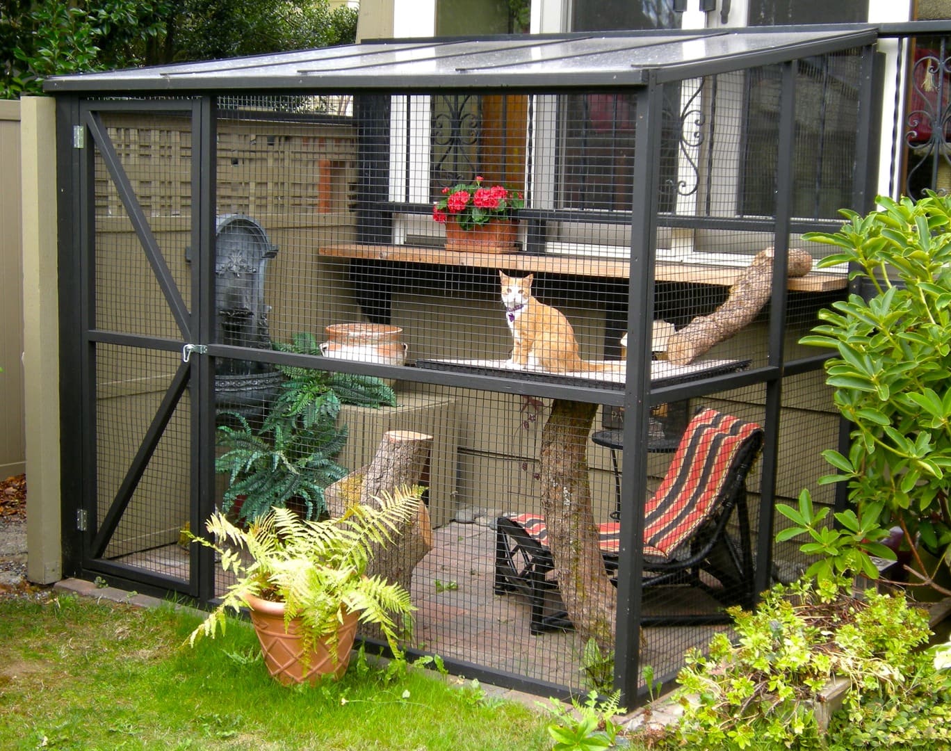 The hot sale sanctuary catio