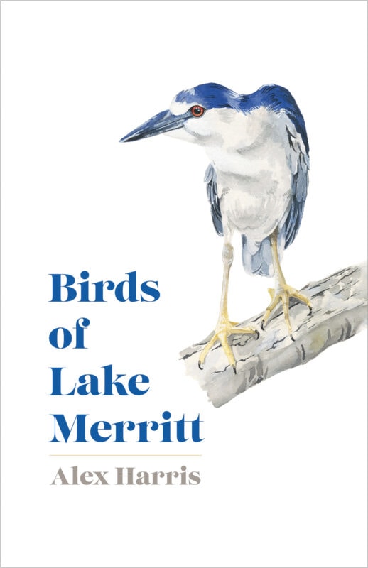 Birds of Lake Merritt book cover