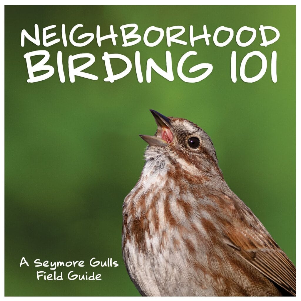 Neighborhood Birding 101 book cover