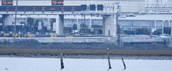 North Boat group sighting of an osprey and a group of Black Skimmers in the background by Mark Rauzon