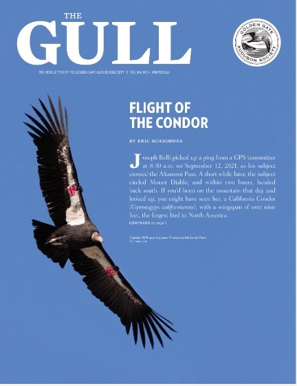 Winter 2021 Gull is now online