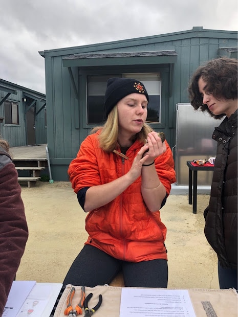 Molly Hetherwick and intern at the Younger Lagoon Banding Station, talking about molt tracks on a Golden-crowned Sparrow