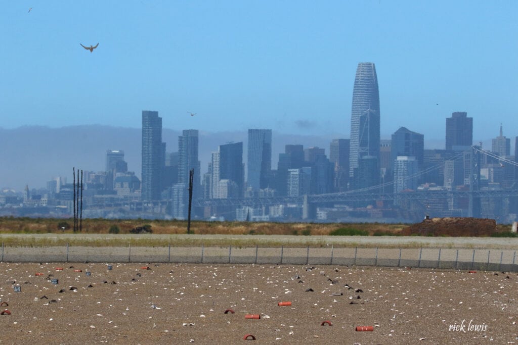 Foggy view of San Francisco cityscape, with sand from the beach in the foreground 