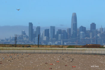 Foggy view of San Francisco cityscape, with sand from the beach in the foreground