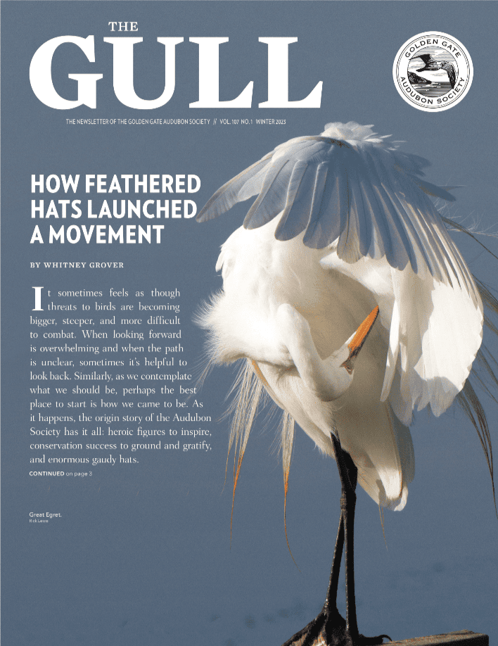 Winter 2022 Gull is now online