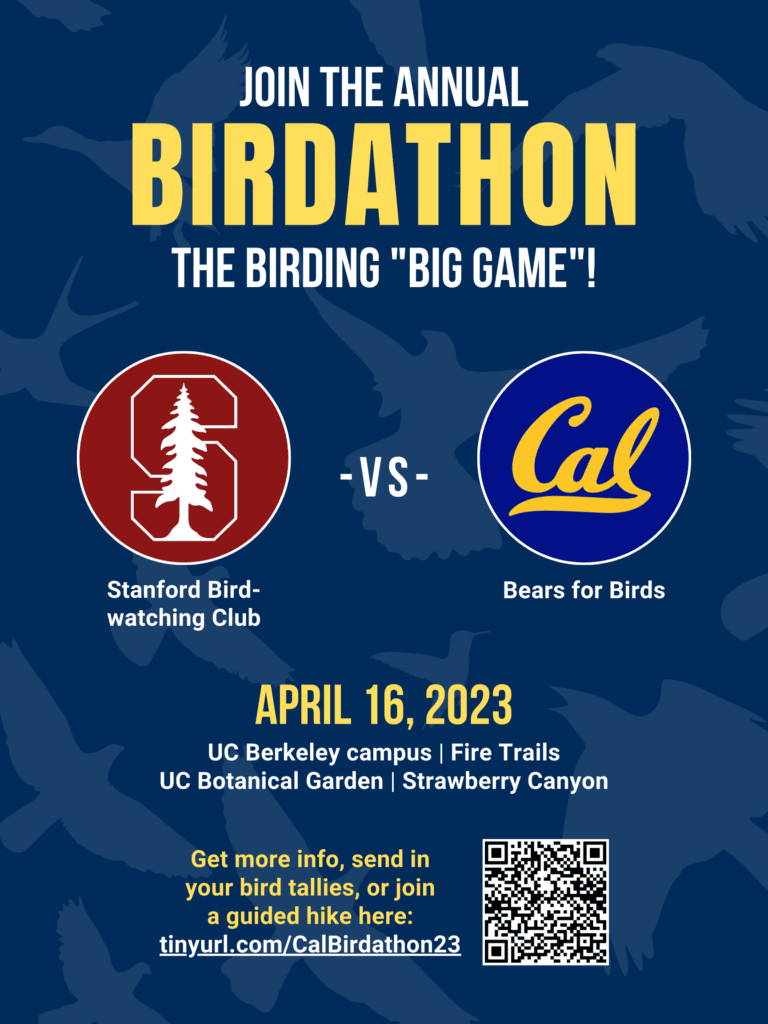 The Berkeley-Stanford Birdathon