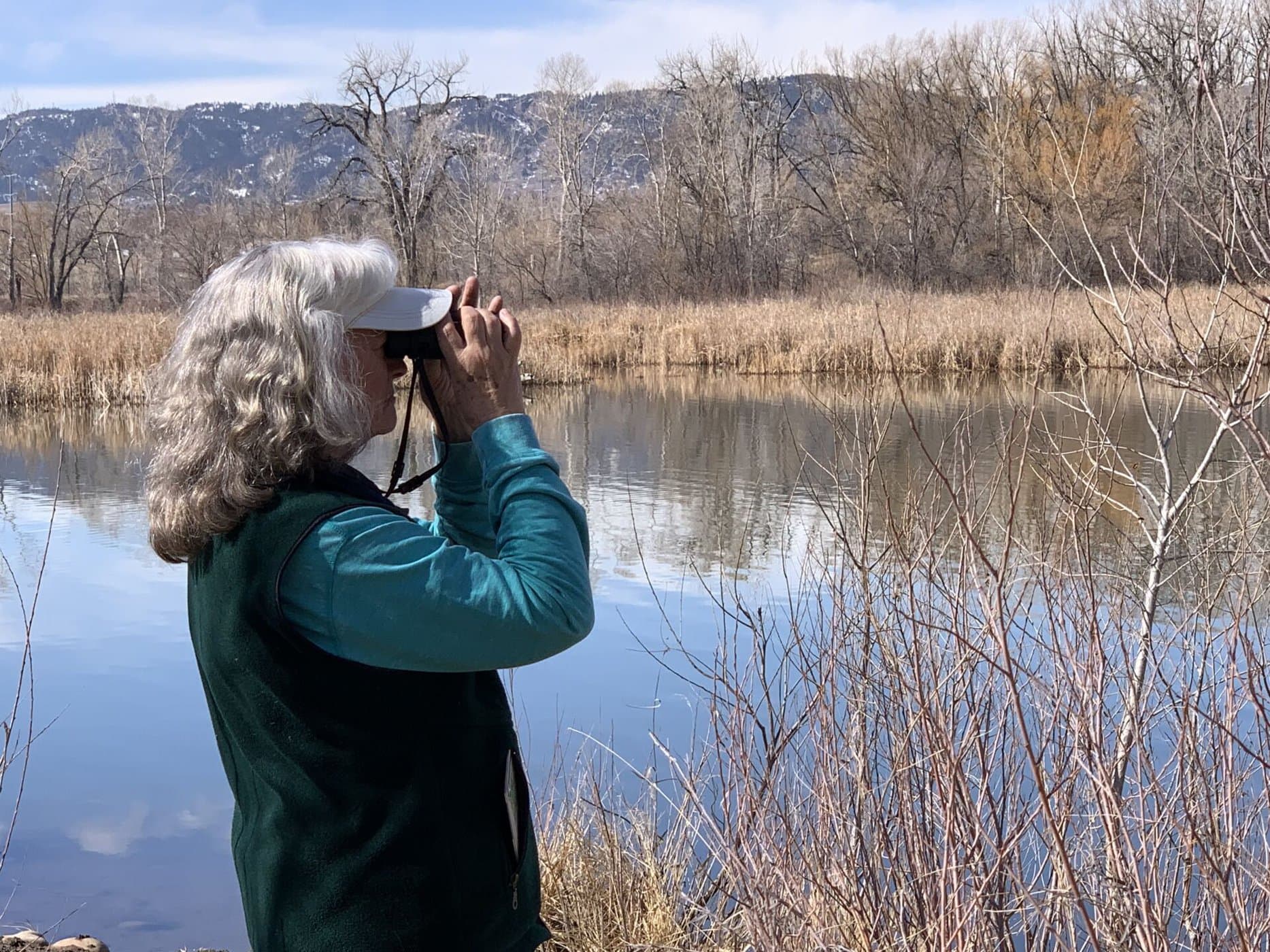 How to Thrive as an SOB (Spouse of Birder) - Golden Gate Bird Alliance