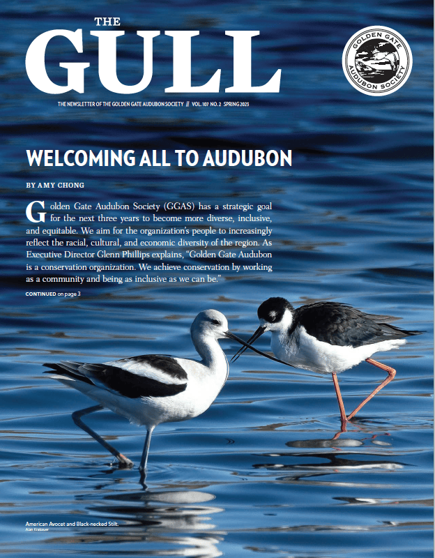 Spring 2023 Gull is now online