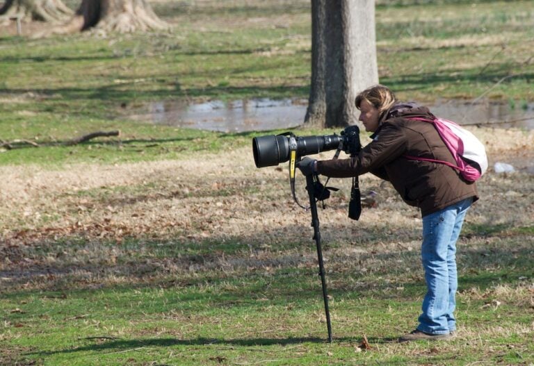 Bird Photography: Tips, Tricks and Techniques