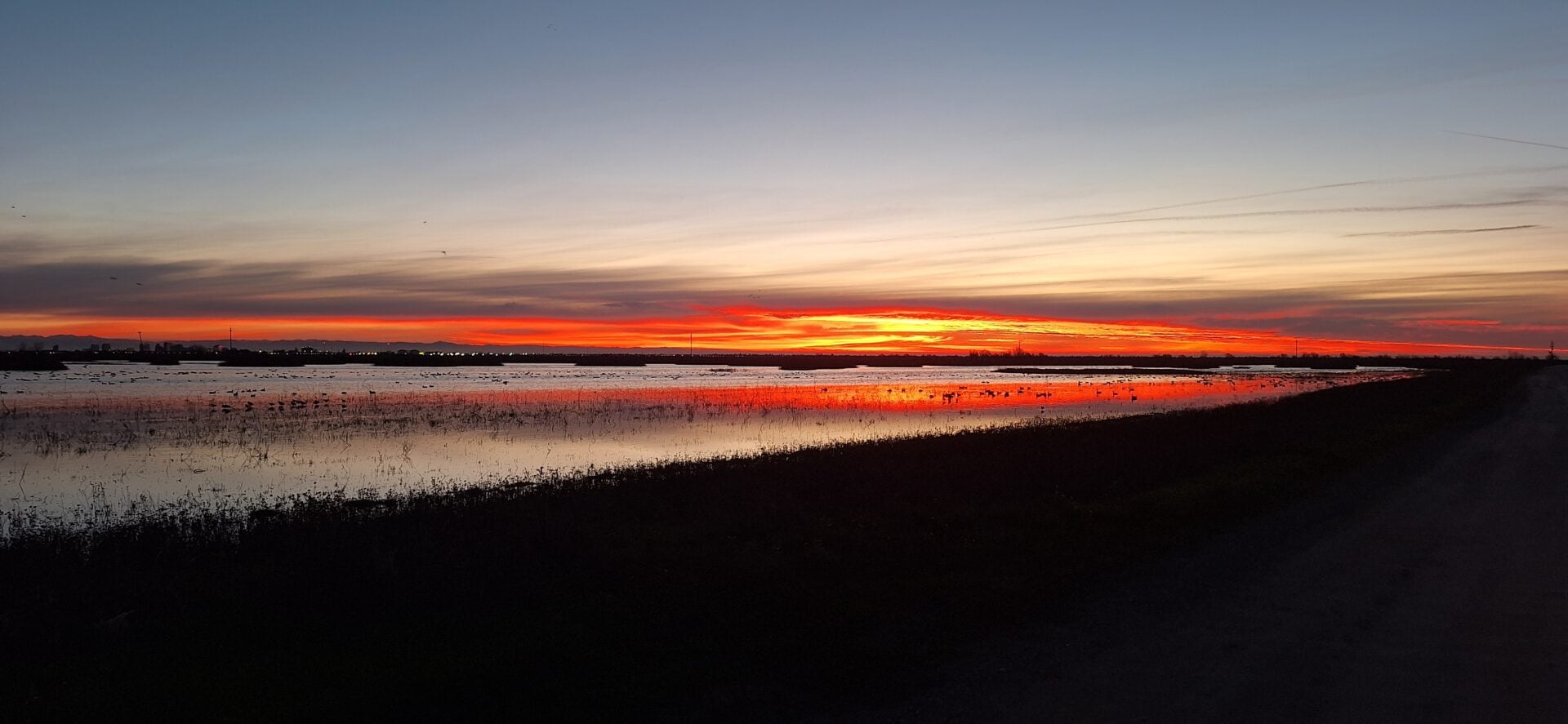 The Sacramento-San Joaquin Delta: connections and complexity