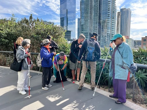 A group of eight people, some with white canes. on a pathway in a park.