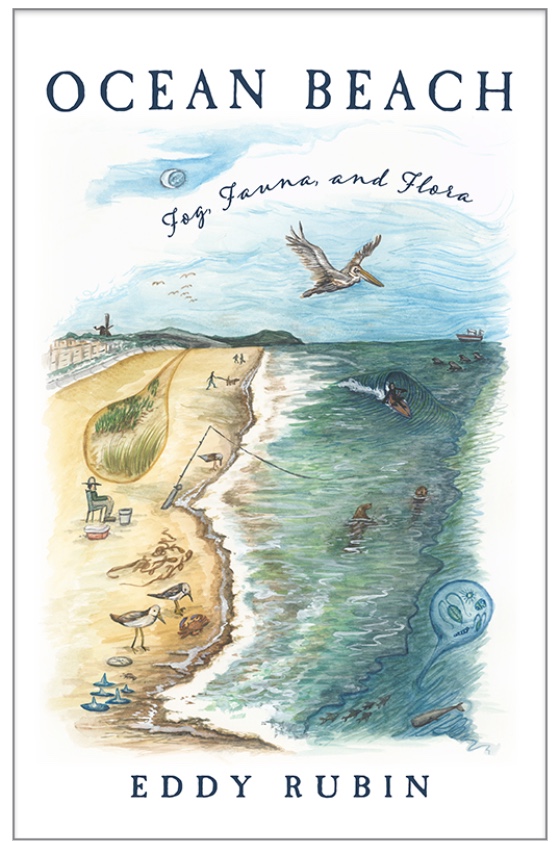 Ocean Beach: Fog, Fauna, Flora