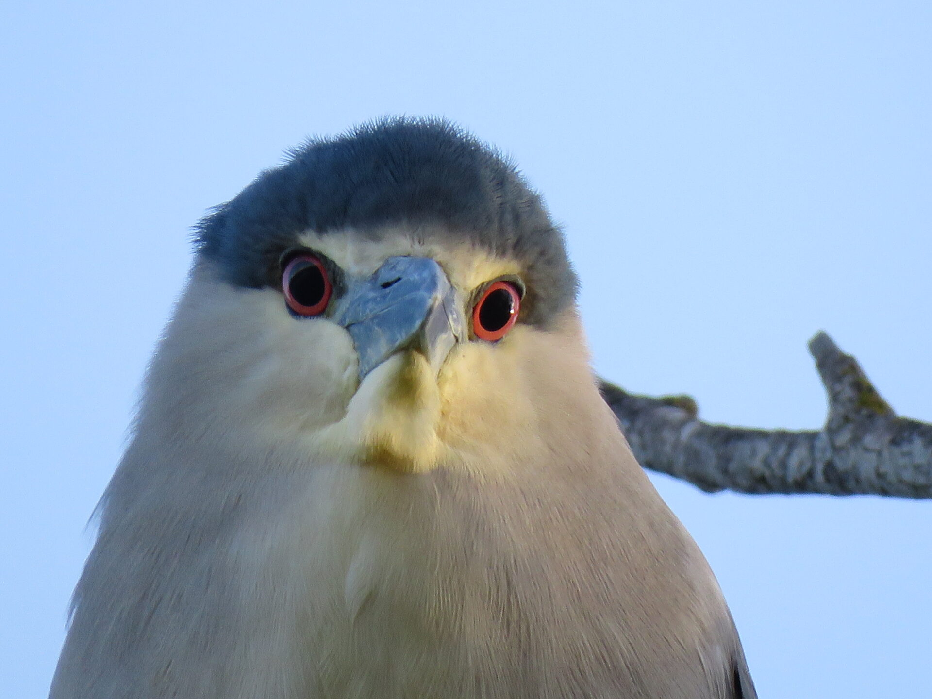 Tales of Animal Sex, Murder and Mayhem