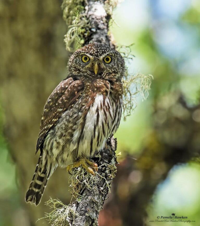 Sunol Regional Wilderness Adventure (New!)