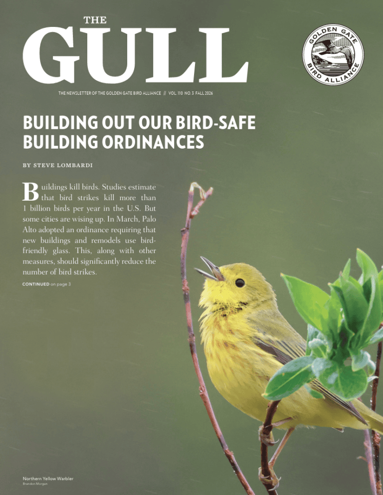Winter 2027 Gull is now online