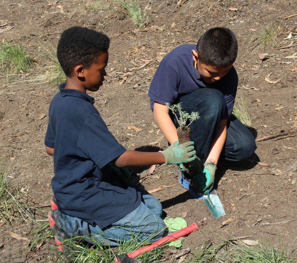 Students placing native plants along the creek / Photo by Pipi Ray Diamond