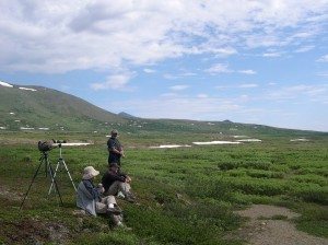 3 birders