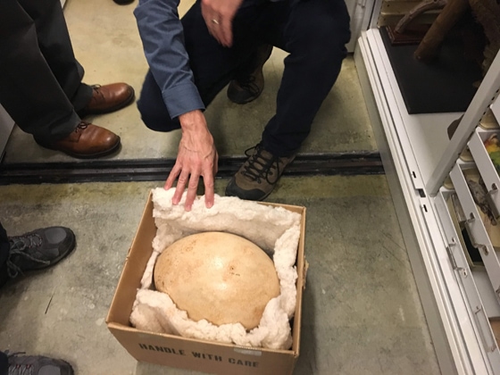 Behind the Scenes at the California Academy