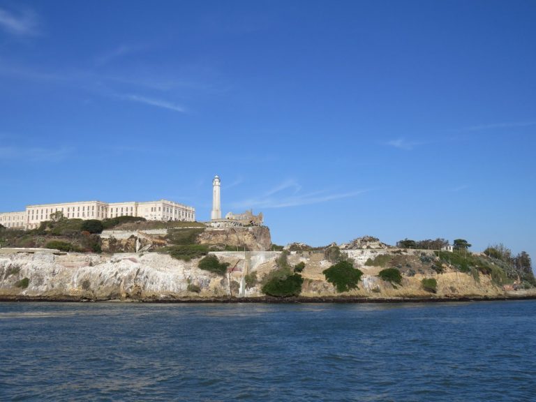 GGBA birds the Bay with Dolphin Charters
