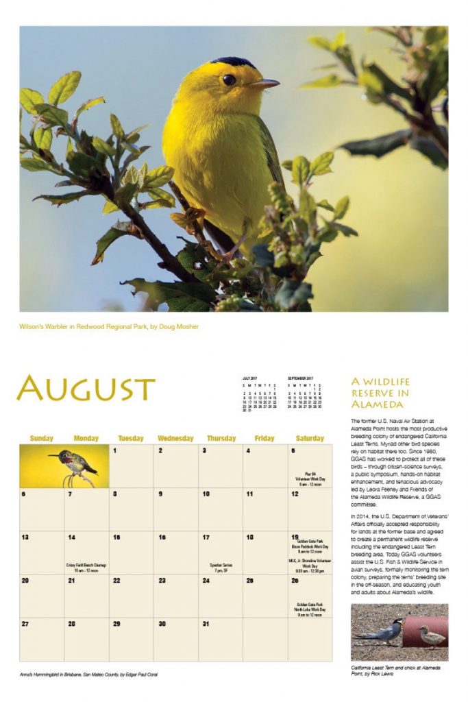 Sample inside page from Birds of the Bay Area calendar