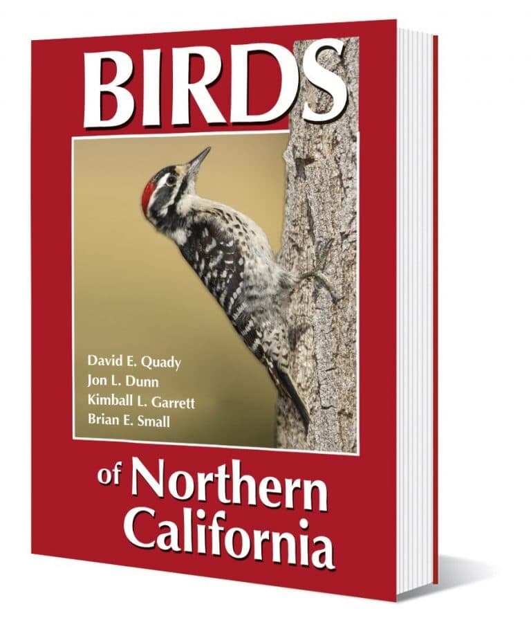 Birds of Northern California — new field guide