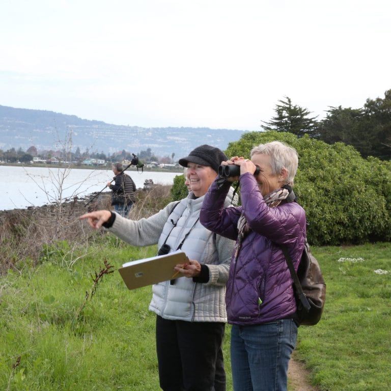 2014 Oakland CBC — great day, no rain