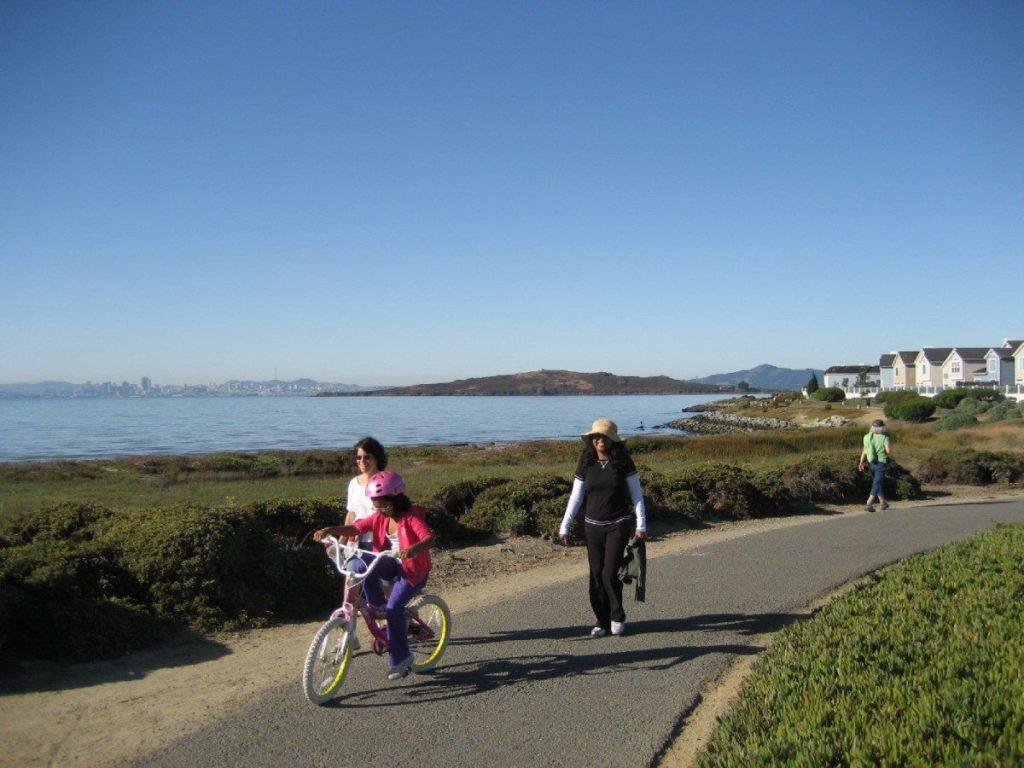 The busy Bay Trail / Photo by Bruce Beyaert