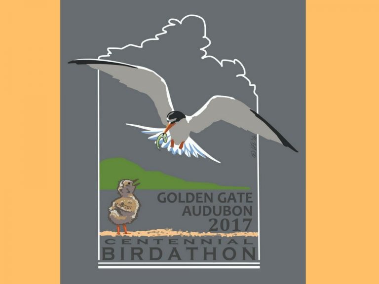 There’s still time to support Birdathon 2017!