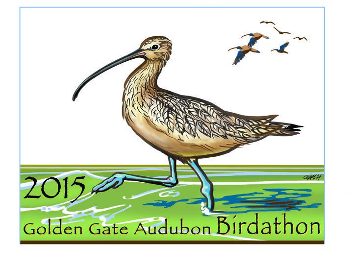 Birdathon 2015 — help us hit our goal!