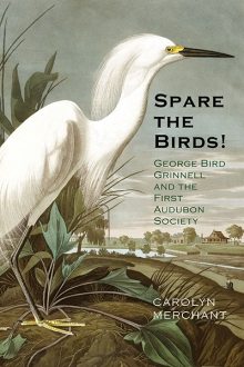 books-sparebirds