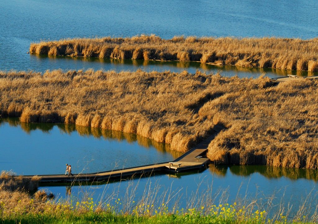 Boardwalk at Coyote Hills / Photo by Jerry Ting (EBRPD)