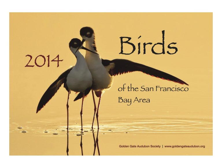 It’s not too late to order our 2014 Birds of the Bay Area calendar
