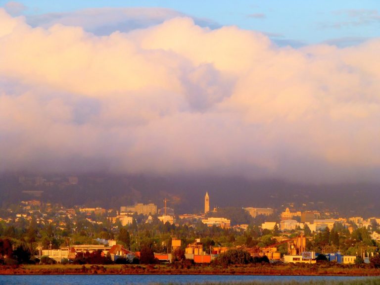 Cesar Chavez Park: Birding Hotspot