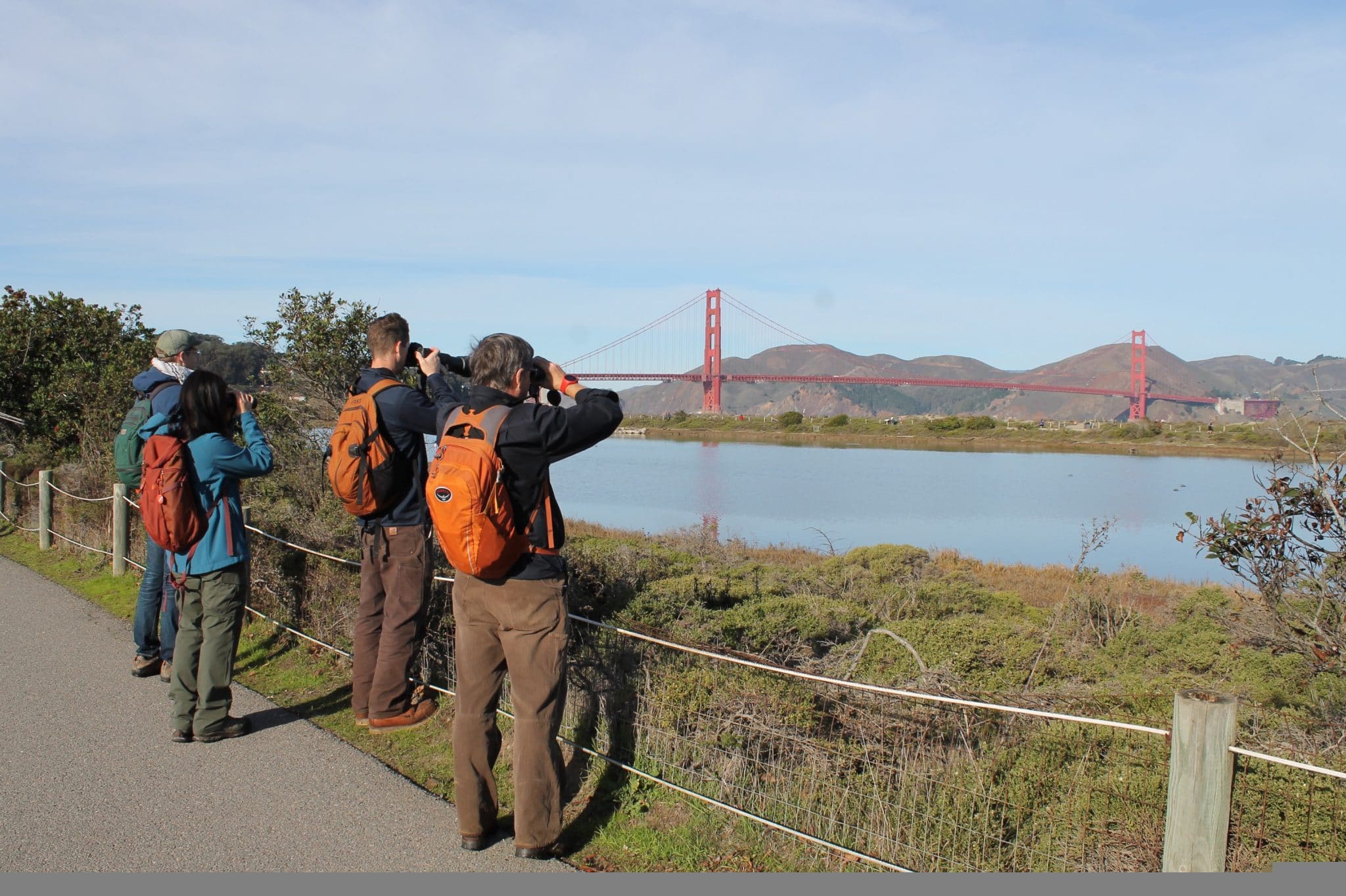Keith Maley Christmas Bird Count